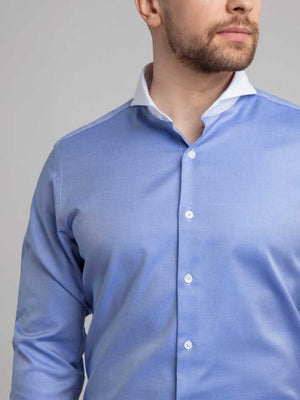 extreme cutaway contrast collar shirt royal blue premium cotton on model