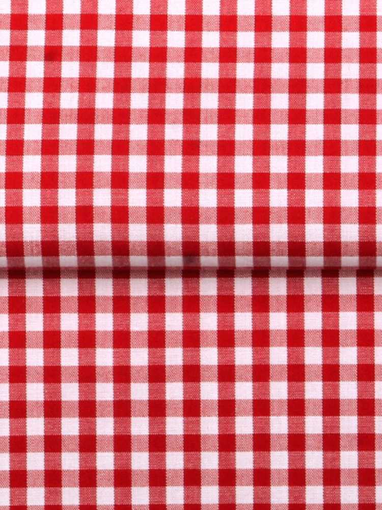 Dandy &amp; Son Extreme Cutaway collar shirt in red gingham style flat lay close up