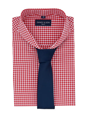 Dandy & Son Extreme Cutaway collar shirt in red gingham style flat lay with tie