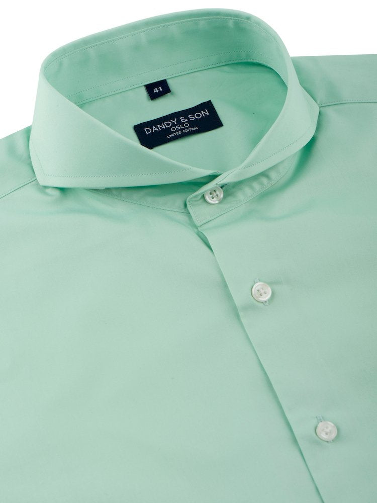 Limited Edition Extreme Cutaway Collar Mint Green Shirt 39 / US 15