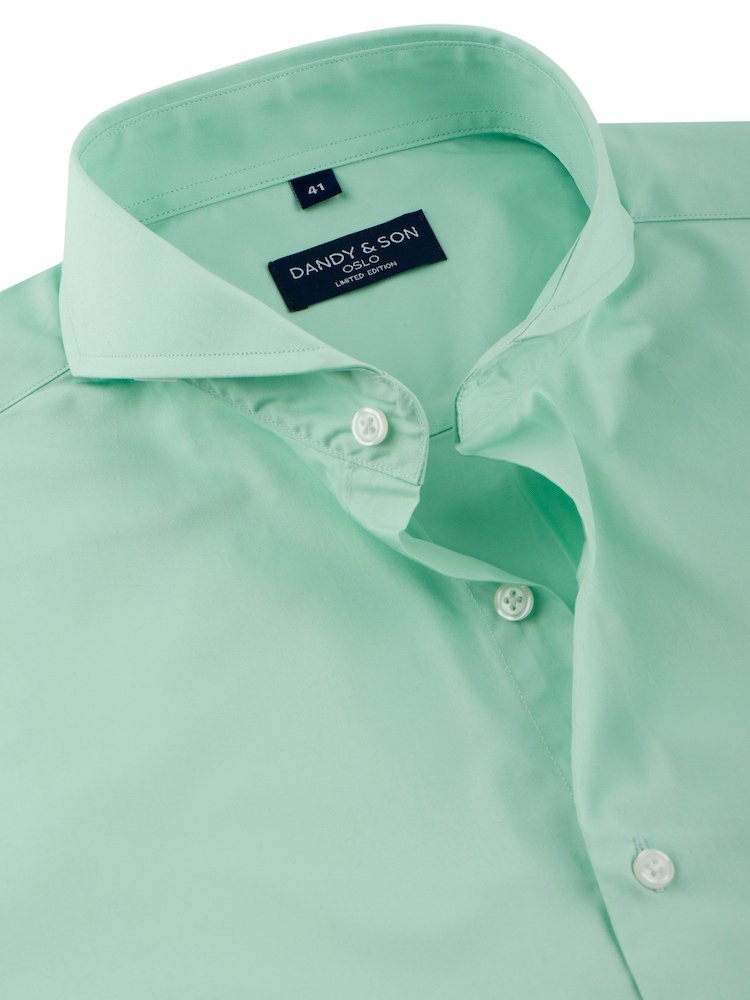 Limited Edition Extreme Cutaway Collar Mint Green Shirt 39 / US 15 Limited Edition Extreme Cutaway Collar Mint Green Shirt 39 / US 15